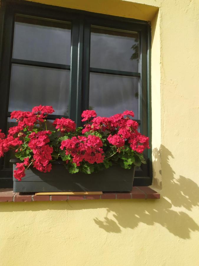 Wirtshaus Neuenkirchen Hotel Neuenkirchen auf Rugen Kültér fotó